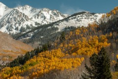 Elk Mountains in Fall || Colorado