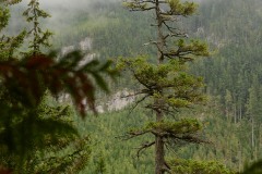 Stawamus Chief || British Columbia, Canada