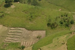 Farming Lake Mutanda || Uganda