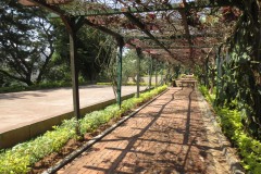 Kigali Genocide Memorial || Rwanda