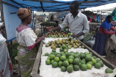 Kisoro Market || Uganda