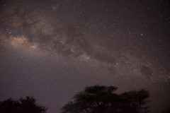 Milky Way over the Serengeti || Serengeti National Park, Tanzania