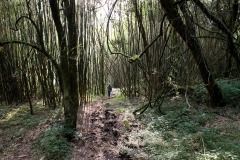Mount Sabyinyo Hut || Mgahinga Gorilla National Park, Uganda