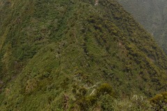 Mount Sabyinyo Hut || Mgahinga Gorilla National Park, Uganda