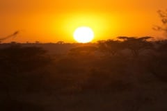 Serengeti Sunset || Serengeti National Park, Tanzania