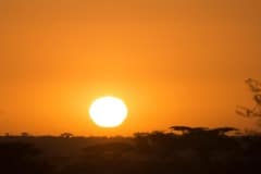 Serengeti Sunset || Serengeti National Park, Tanzania