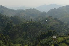 Virunga Mountains || Uganda