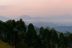 Virunga Mountains || Uganda