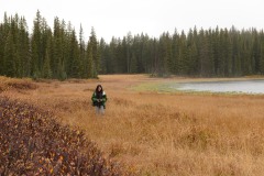 Ann at Elk Creek || Crested Butte, CO