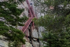Devils Head || Colorado