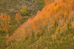 Fall Colors of Red Lady Basin || Crested Butte, CO