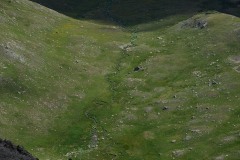 Mountain Stream || San Juan Mountains, CO