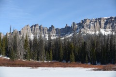 Bull Moose at North Breccia Cliffs || Bridger-Teton National Forest, Wyoming