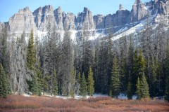 Bull Moose at North Breccia Cliffs || Bridger-Teton National Forest, Wyoming