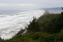 Cape Lookout State Park || Oregon Coast