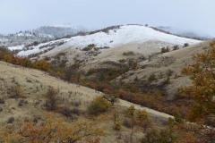 Cascade-Siskiyou National Monument || Oregon