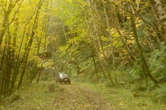 Driving in Golden Fall || Smith River National Recreation Area, California