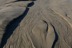 Ecola State Park || Cannon Beach, OR