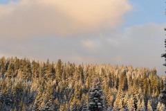 First Snow || Winema National Forest, Oregon