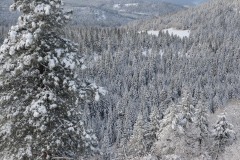 First Snow in Cascade Mountains || Southern Oregon