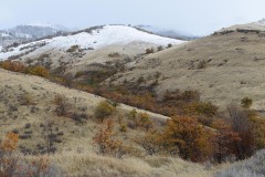 First Snow in Cascade-Siskiyou National Monument || Oregon