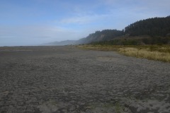 Gold Bluffs Beach || Prairie Creek Redwoods State Park, CA