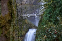 Multnomah Falls || Columbia River Gorge, Oregon