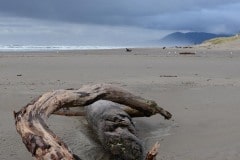 Nehalem Bay State Park || Oregon