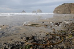 Oceanside || Oregon Coast