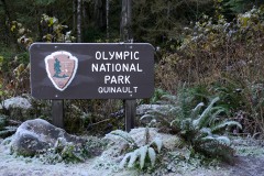 Olympic National Park || Washington