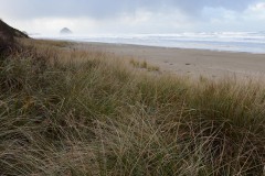 Pacific City Beach || Oregon