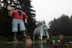 Paul Bunyan Statue || Trees of Mystery, CA
