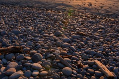 Ruby Beach || Olympic National Park, Washington