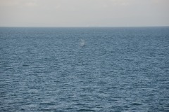 Sailing the Salish Sea || Strait of Juan de Fuca