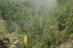 Smith River Canyon || California
