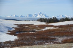 Snow Capped Tetons || Gread Teton NP, Wyoming