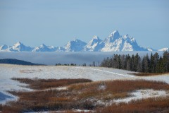 Snow Capped Tetons || Gread Teton NP, Wyoming