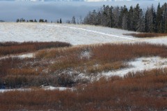 Snow Capped Tetons || Gread Teton NP, Wyoming