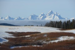 Snow Capped Tetons || Gread Teton NP, Wyoming