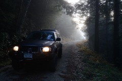 Toyota Tacoma in Rogue River-Siskiyou National Forest || Oregon