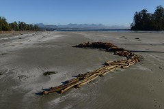 Wickaninnish Beach || Ucluelet, BC, Canada