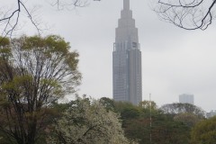 Sendagaya || Shibuya, Japan