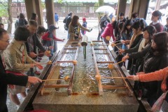 Temizuya Cleansing Ritual at Meiji Shrine || Shibuya, Tokyo