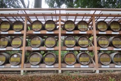 Wine Casks at Meiji Shrine || Shibuya, Tokyo