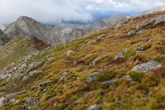 Alpine Beauty Beneath Mt. Harvard || Colorado