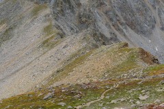 Alpine Ridge to Mt. Harvard || Colorado