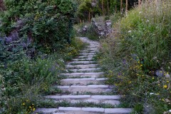 Stone Stairs in Manarola || Cinque Terre