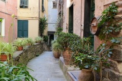 Streets of Vernazza || Cinque Terre