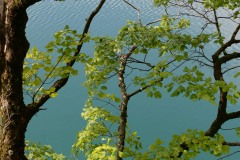 Plitvice Lakes || Plitvice Lakes, Croatia