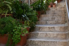 Steps of Hvar || Croatia